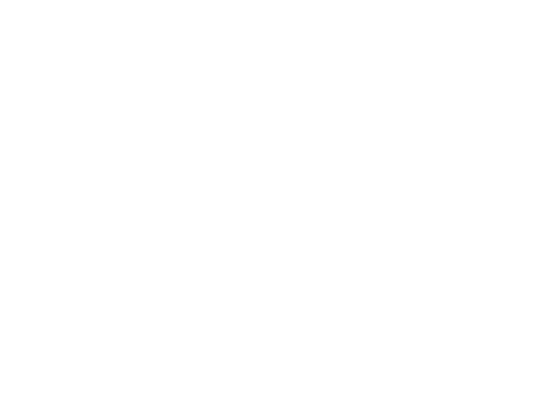 Logo The Journey Of Your Lifetime